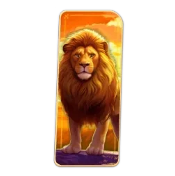 Lion
Safari